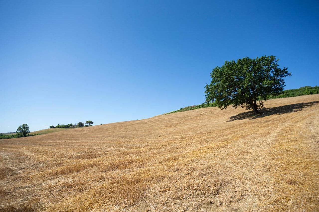 Agriturismo Cappellese Castelnuovo della Misericordia 外观 照片
