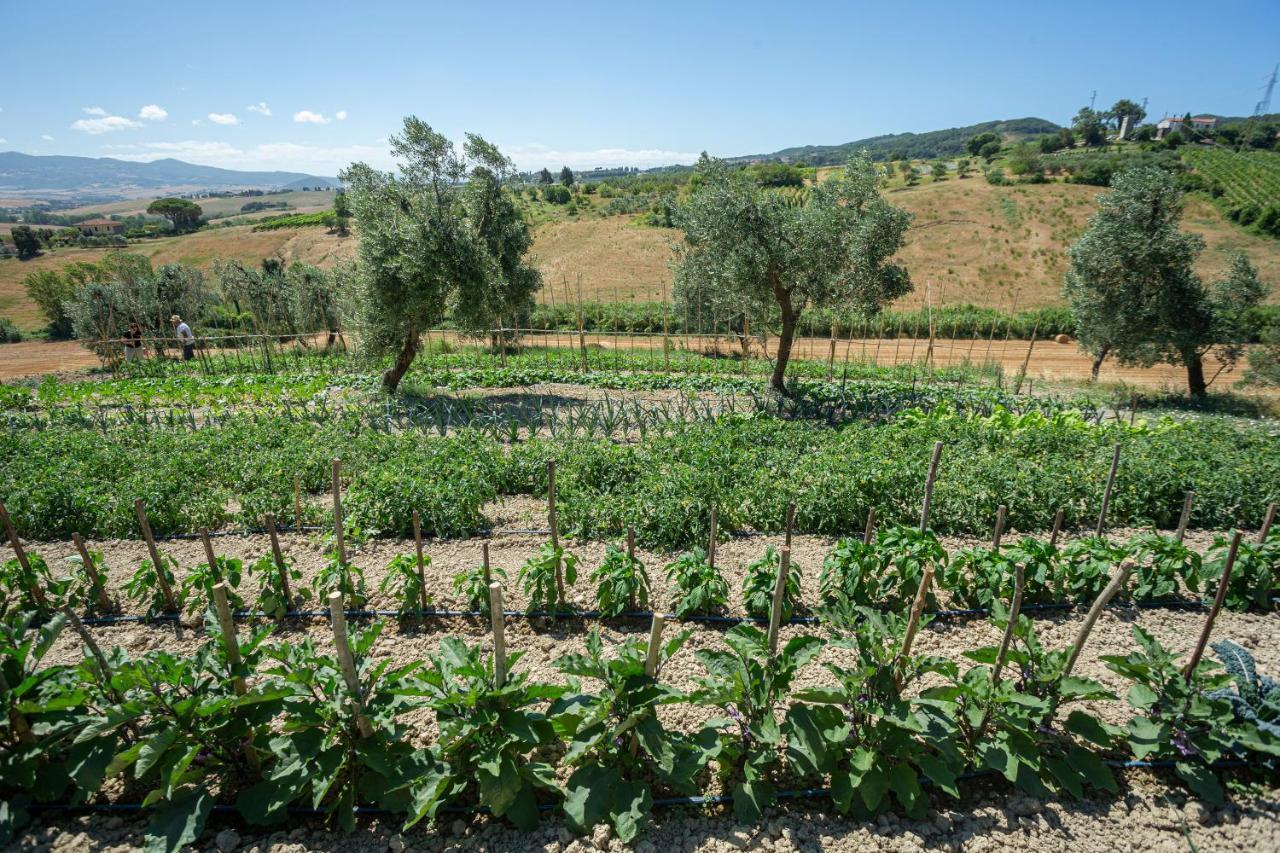 Agriturismo Cappellese Castelnuovo della Misericordia 外观 照片