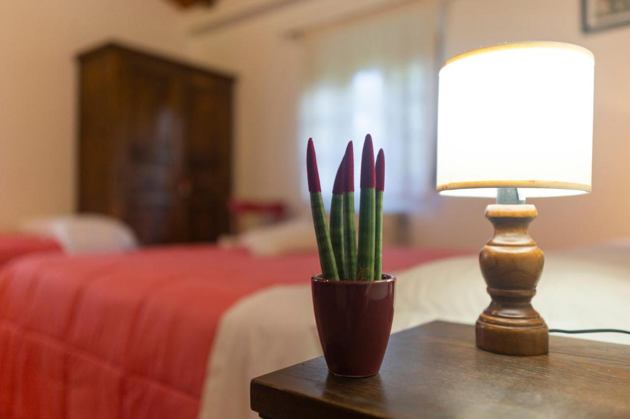 Agriturismo Cappellese Castelnuovo della Misericordia 外观 照片