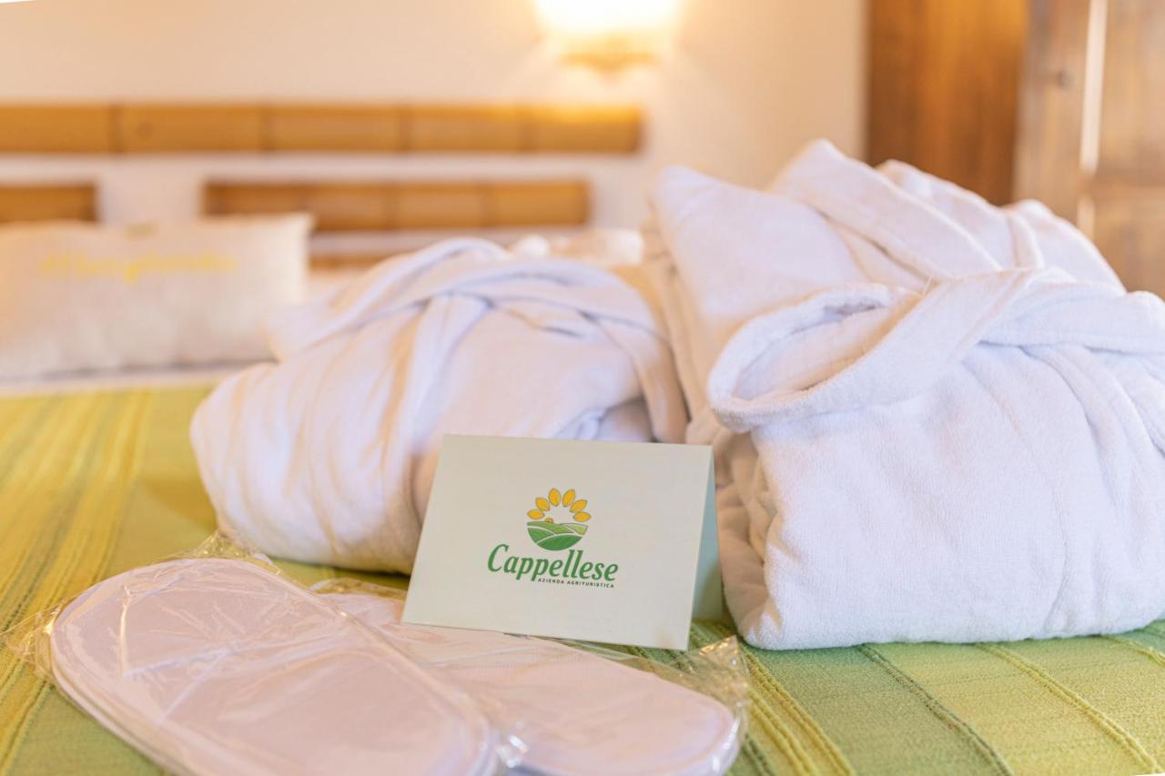 Agriturismo Cappellese Castelnuovo della Misericordia 外观 照片